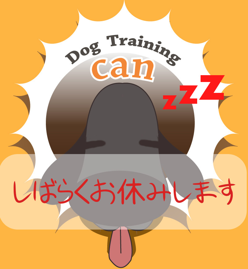 神奈川県横浜市ドッグトレーニングcan|しつけ方